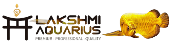 Lakshmi Aquarius